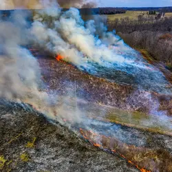 March 2020 (Shaker Village of Plesant Hill)
